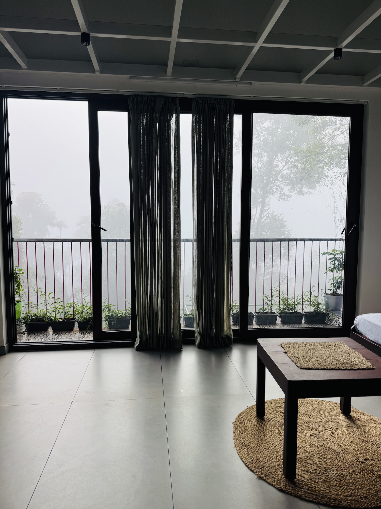 Misty Morning